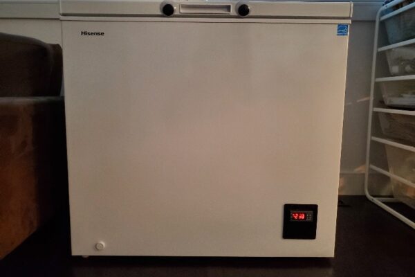 Mr. Freezy II’s official naming ceremony